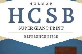 This full reference HCSB Bible includes 18 point type with over 20,000 cross references in the Jewel Verse Reference System. Other features include words of Christ in red, eight full-color maps, topical concordance, and gift box.