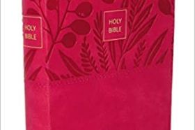 NKJV, End-of-Verse Reference Bible, Personal Size Large Print, Leather soft, Pink, Red Letter, Comfort Print: Holy Bible, New King James Version Imitation Leather – September 29, 2020 by Thomas Nelson A Bible with large print in an easy-to-carry format that is ideal to take with you wherever you want to enjoy God's Word. Exploring God’s Word on the go just got easier. This edition not only includes the full text of the trustworthy New King James Version in an easy-to-read large print, but it is also small enough for everyday use and easy navigation with thousands of cross-references conveniently located at the end of verses. Trusted by millions of believers around the world, the NKJV remains the bestselling modern “word-for-word” translation. It balances the literary beauty and familiarity of the King James tradition with an extraordinary commitment to preserving the grammar and structure of the underlying biblical languages. And while the translators relied on the traditional Greek, Hebrew, and Aramaic text used by the translators of the 1611 KJV, the comprehensive translator notes offer important insights about the latest developments in biblical manuscript studies. The result is a Bible translation that is both beautiful and uncompromising—perfect for serious study, devotional use, and reading aloud. Features include: Line-matched for improved clarity when reading Verse-style Scripture format starts each verse on its own line so it’s easy to navigate the text Verse-by-verse cross-references give you to find related passages quickly and easily Words of Christ in red help you quickly identify Jesus’ teachings and statements Portable personal-size format allow this Bible to be a perfect travel companion wherever you go Durable and flexible Smyth-sewn binding allows the Bible to lay flat wherever you are reading Concordance for looking up a word’s occurrences throughout the Bible Full color maps show the layout of Israel and other biblical locations for better context Ribbon markers make it easy navigate and keep track of where you were reading Easy-to-read extra-large 10.5-point NKJV Comfort Print